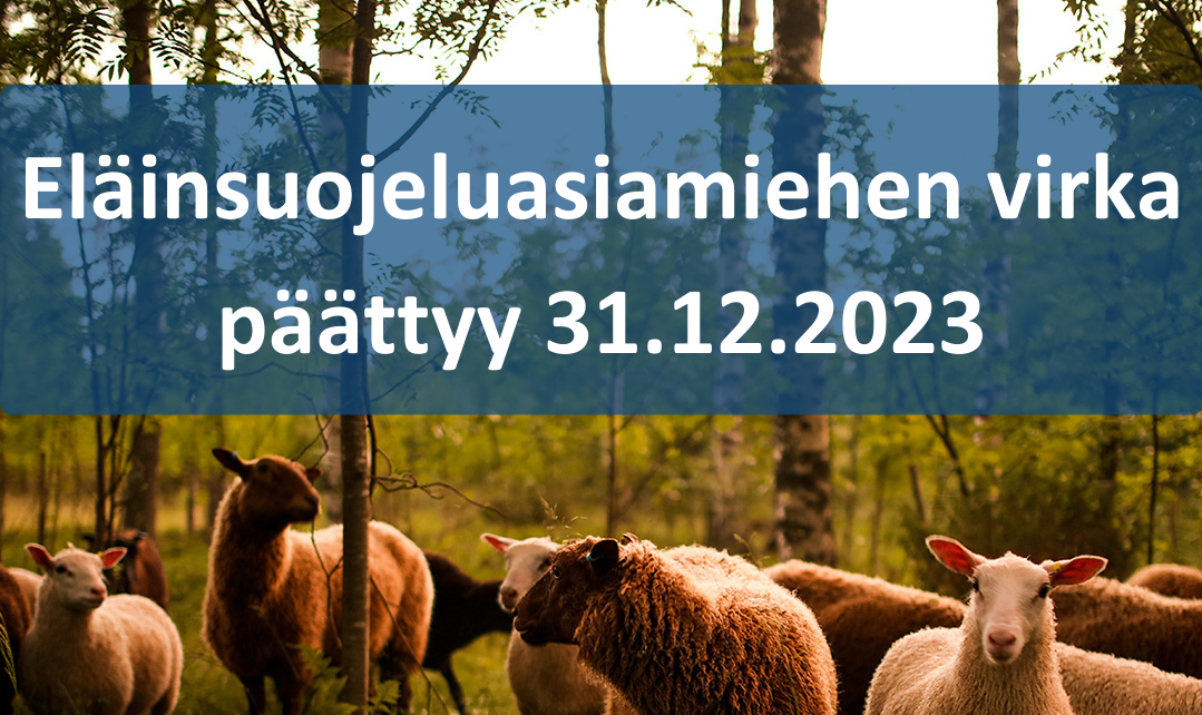 Suomen Surkein Hallitusohjelma 2023 ? | Sivu 658 | Kauppalehden ...